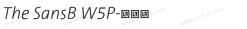 The SansB W5P字体转换